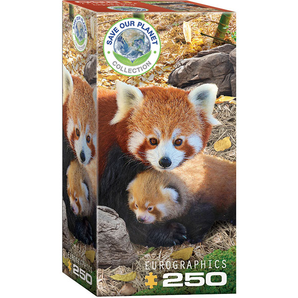 Eurographics Red Pandas250-Piece Puzzle 8251-5557 - ODDO igračke