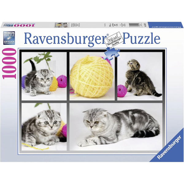 Ravensburger puzzle (slagalice) 1000pcs Znatizeljni macici RA19545 - ODDO igračke