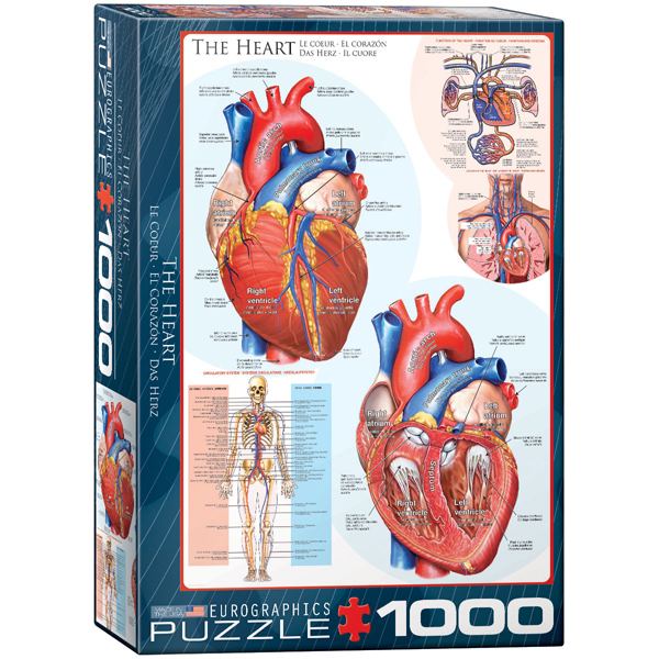 Eurographics The Heart 1000-Piece Puzzle 6000-0257 - ODDO igračke