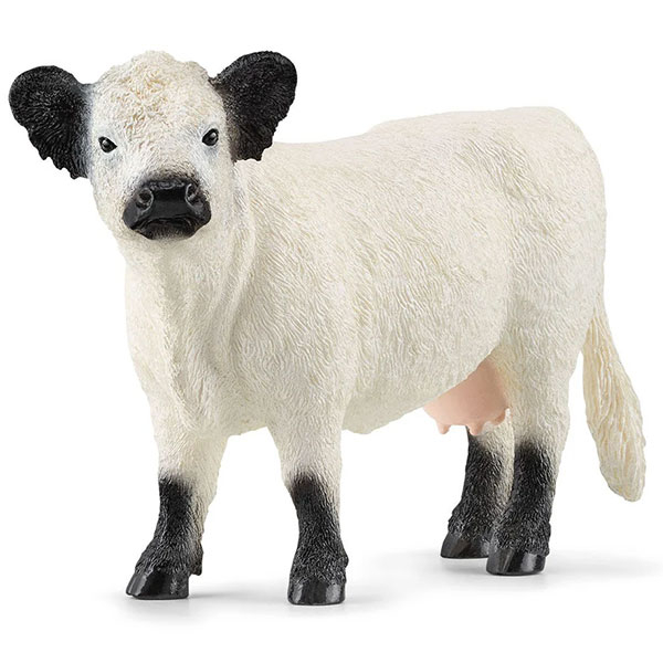 Schleich Krava Galloway 13960 - ODDO igračke