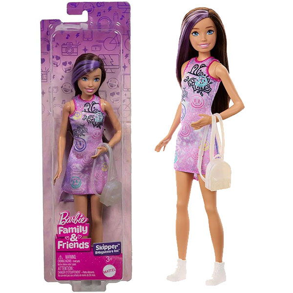 Barbie lutka Family & Friends Skipper 1042950 - ODDO igračke